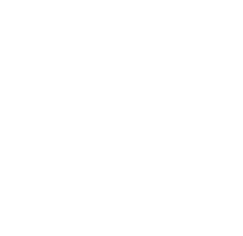 BLACK OX